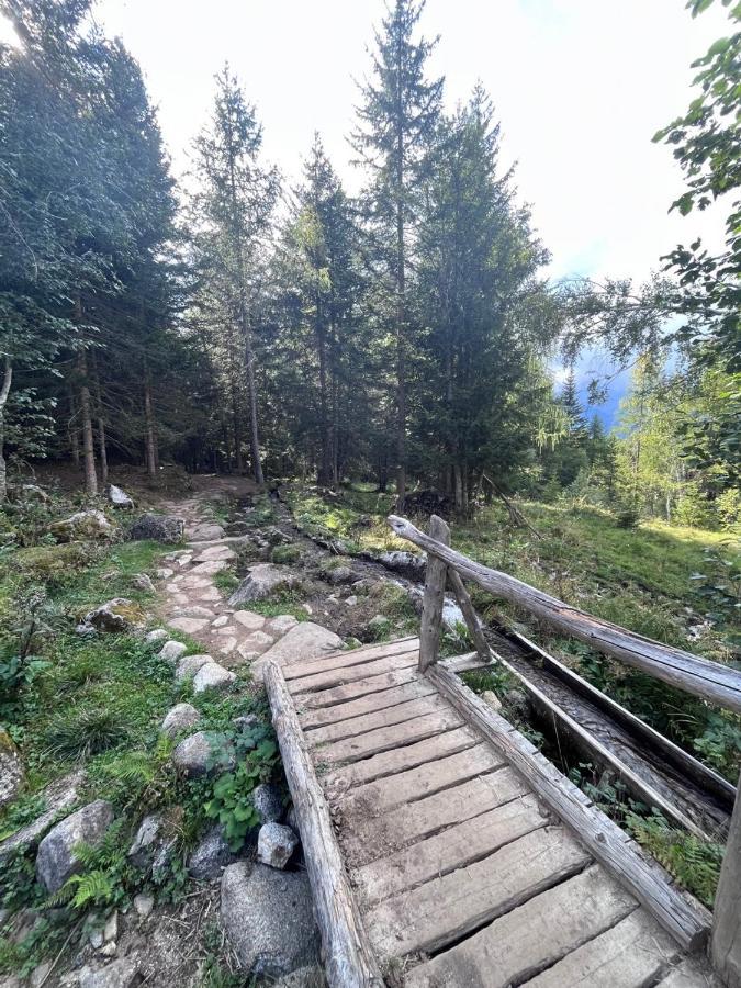 Apartamento Rifugetto Marilleva Exterior foto